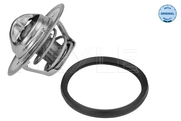 Termostato para Ford Fiesta (GBFT)