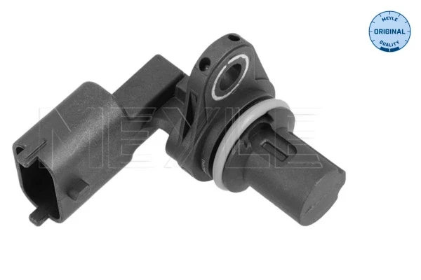 Sensor de posição da árvore distribuidora para Fiat Croma (194)