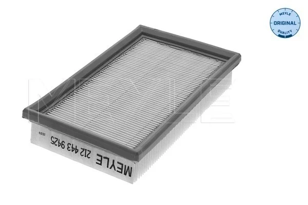4434868 Fiat/Alfa/Lancia filtro de ar