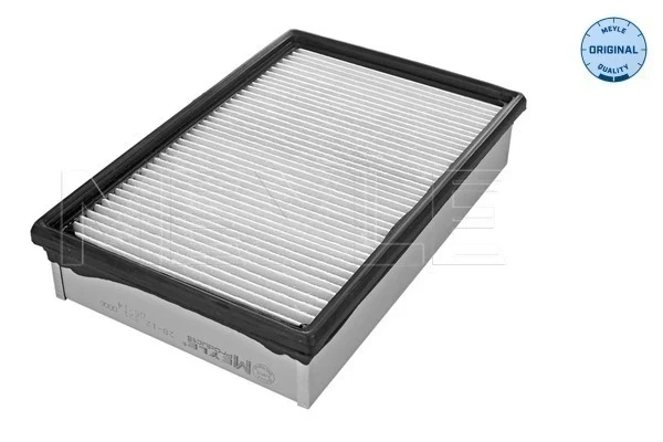 Filtro de ar para KIA Carnival (UP)
