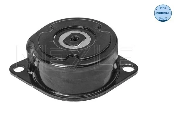 Reguladora de tensão da correia de transmissão para Audi 80 (8C, B4)