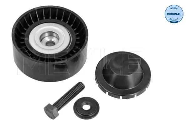 Rolo parasita da correia de transmissão BMW X3 F25