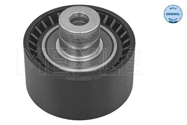 Rolo parasita da correia de transmissão Ford C-Max DM2