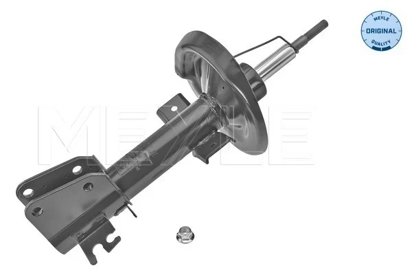 Amortecedor dianteiro para Renault Master (JV)