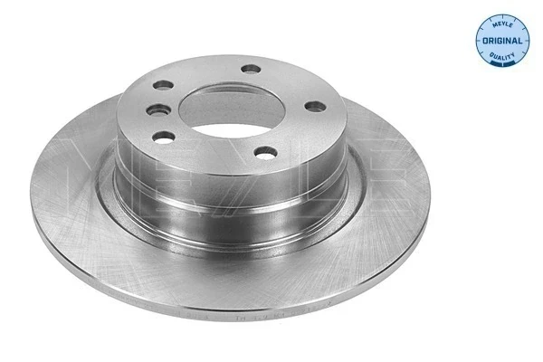 Disco do freio traseiro para BMW 7 (E65, E66, E67)