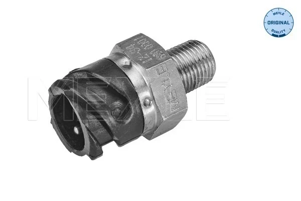 Sensor de temperatura do fluido de esfriamento para MAN TGA 