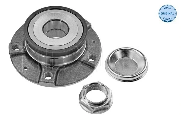 Cubo traseiro para Peugeot 407 (6E)