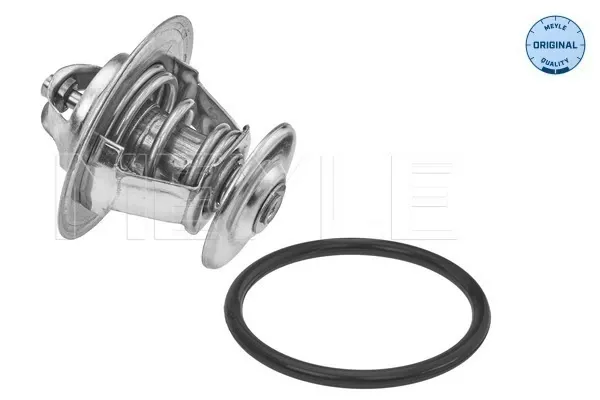 Compre Termostato Seat Cordoba  6K2, C2