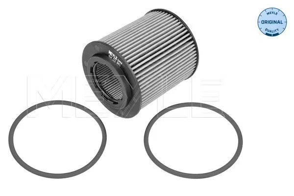 Filtro de óleo E149114 Peugeot/Citroen
