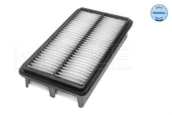 Filtro de ar KIA Carnival III