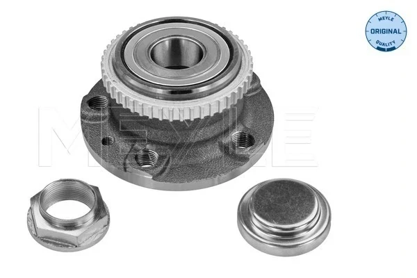 Cubo traseiro para Fiat Scudo (220P)