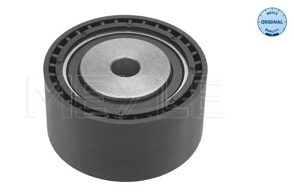 Rolo parasita da correia do mecanismo de distribuição de gás para Peugeot Boxer (244, Z)