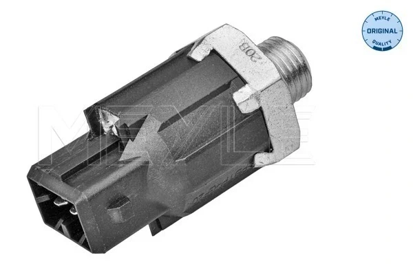 Sensor de detonação para Renault Megane (DZ0)