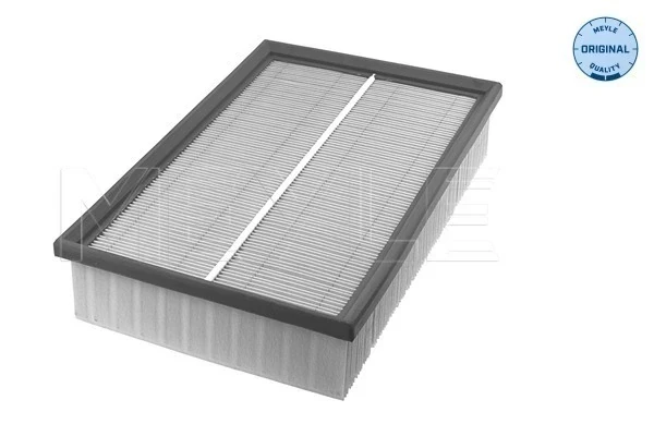Filtro de ar para Ford Transit (V184/5)