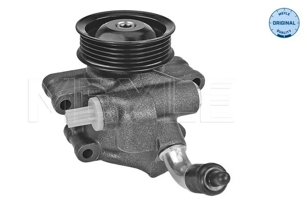 Bomba da Direção hidrâulica assistida para Renault 19 (S53)