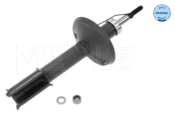Amortecedor dianteiro para Dacia Sandero (BS0, 1)