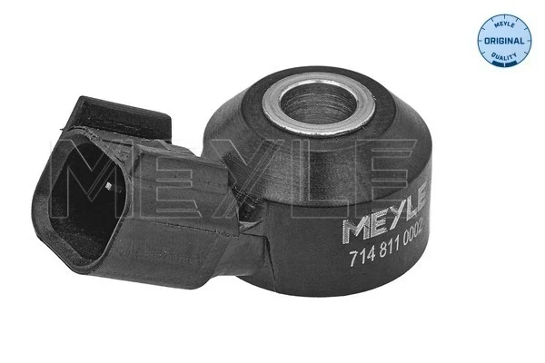 Sensor de detonação para Jaguar X-type (CF1)