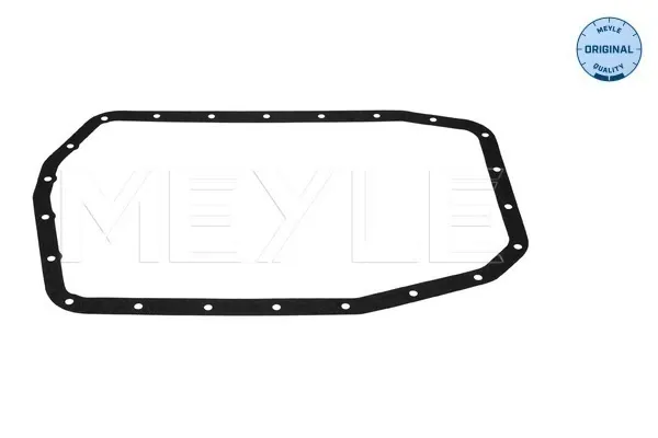 Vedante de panela da Caixa Automática de Mudança/Caixa Mecânica de Mudança BMW 3 E46