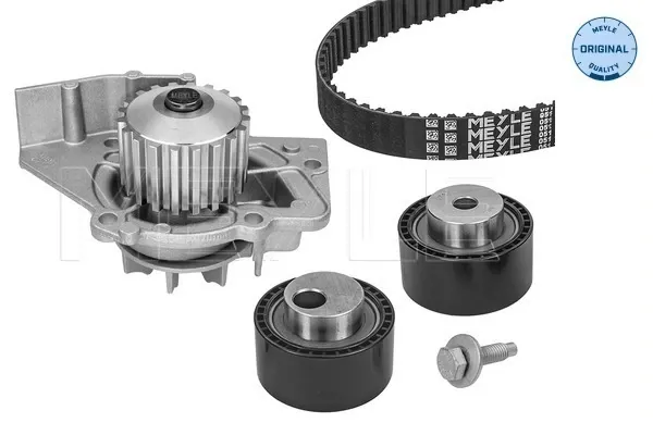 Correia do mecanismo de distribuição de gás, kit Citroen C5 I