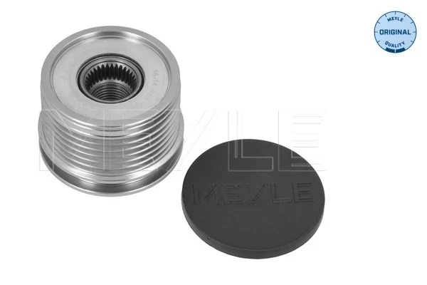 Polia do gerador para Renault Kangoo (FW0)