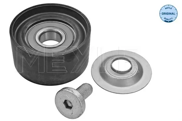 Rolo parasita da correia de transmissão Volvo Trucks TRUCK FH12 