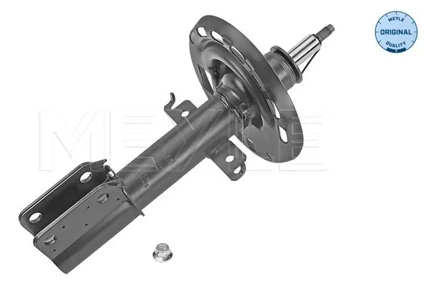 Amortecedor dianteiro Renault Scenic III monovolume (JZ0, JZ1) (2009 - 2016) preço, a partir de