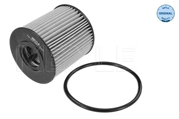 Filtro de óleo para Citroen Jumper (250)