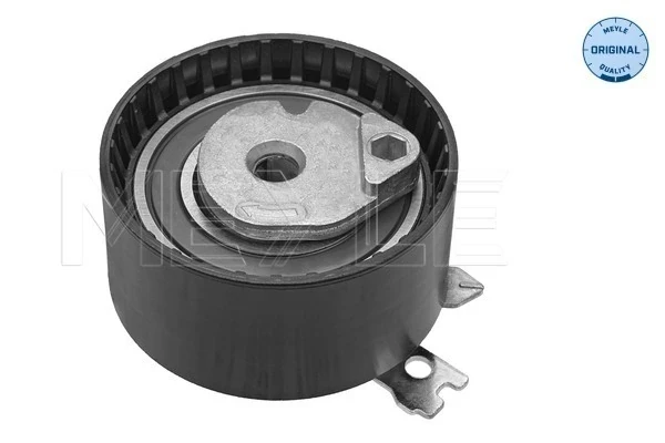 Rolo de reguladora de tensão da correia do mecanismo de distribuição de gás para Renault Megane (EA0)