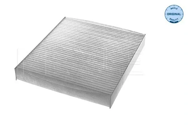 Filtro de salão 8438431100 Renault (RVI)