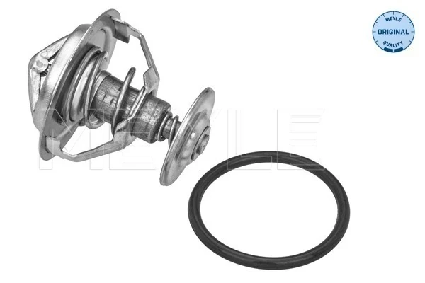 Termostato para Ford Fiesta 