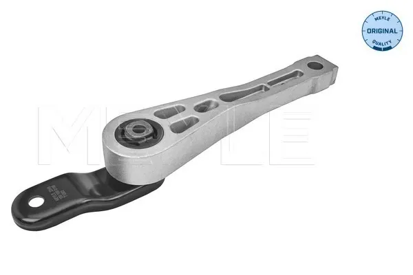 Coxim (suporte) traseiro de motor Volkswagen Tiguan I