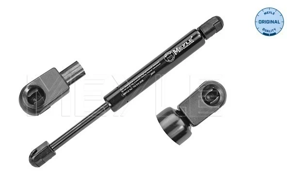 Amortecedor da capota para Ford Mondeo (BWY)