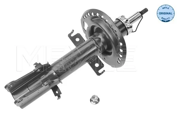 Amortecedor dianteiro para Renault Kangoo (FW0)