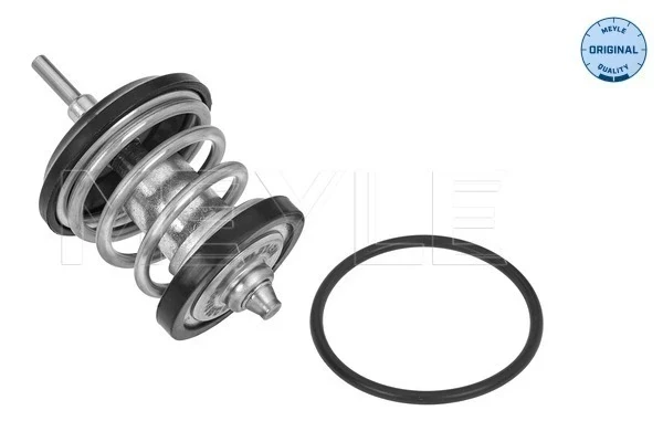 Termostato para Seat Exeo (3R5)