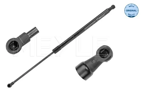 Amortecedor de tampa de porta-malas (de 3ª/5ª porta traseira) para Renault Scenic (JZ0)