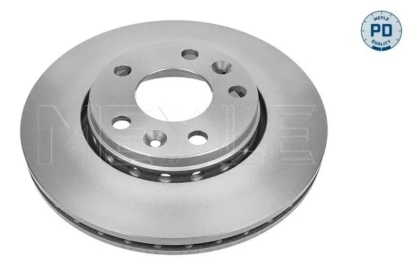  Disco do freio dianteiro Renault Scenic 3