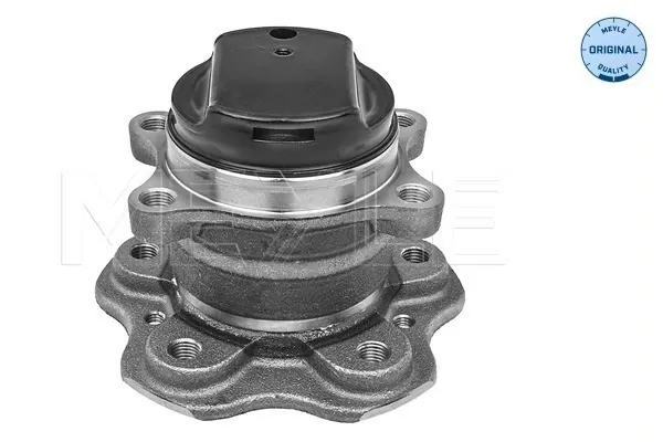 Cubo traseiro Nissan Qashqai II