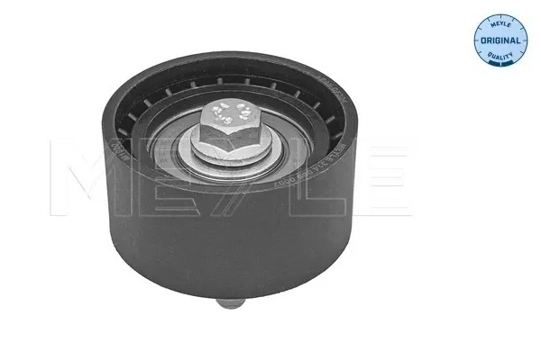 Rolo parasita da correia de transmissão BMW 3 E90