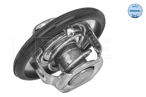 Termostato para Citroen Xsara (N0)