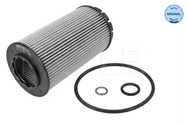Filtro de óleo 1609563680 Peugeot/Citroen