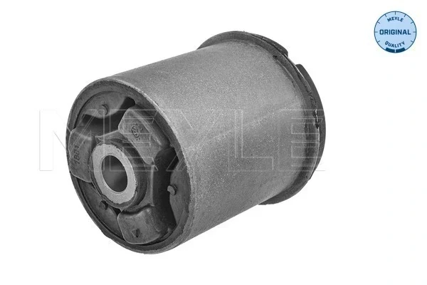 Bloco silencioso de viga traseira (de plataforma veicular) para Opel Astra (55)