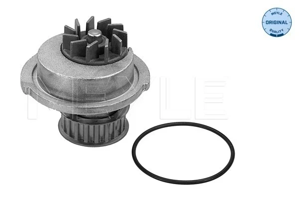 Bomba de água (bomba) de esfriamento para Chevrolet Aveo (T250, T255)