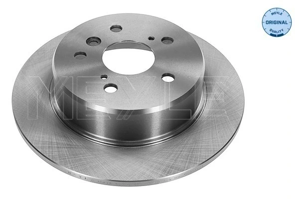 Disco do freio traseiro para Lexus RX (U1_)