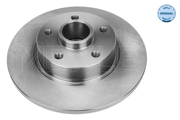 Disco do freio traseiro para Renault Trafic (EG)