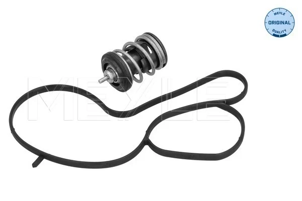 Termostato para Seat Leon (KL1, KLG)