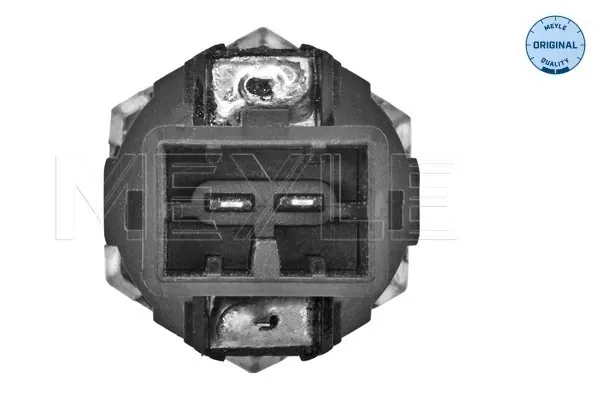 Sensor de detonação para Renault LOGAN I LS