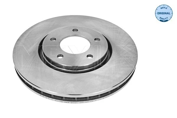 Disco do freio dianteiro para Chrysler Voyager (RG, RS)