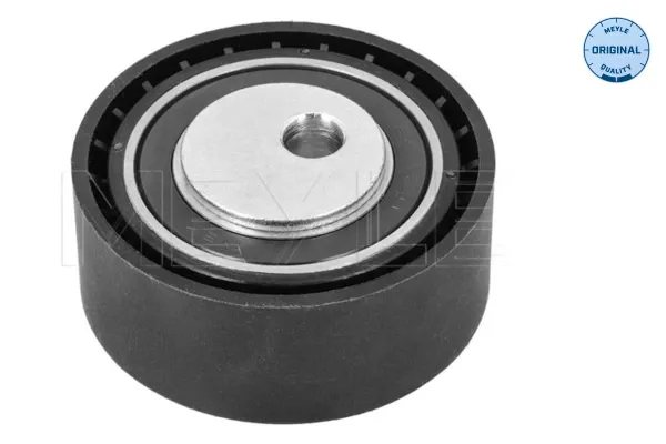 Rolo parasita da correia de transmissão Peugeot 306 7A