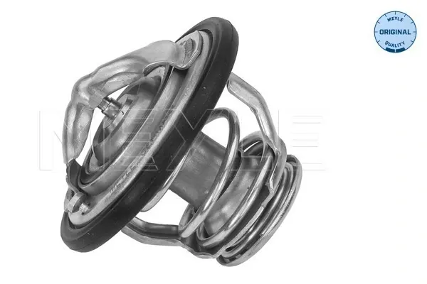Termostato Renault Koleos HY0