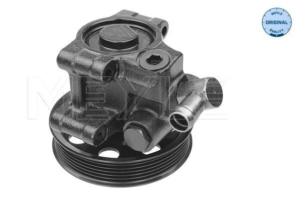 Bomba da Direção hidrâulica assistida para Ford Focus (DFW)